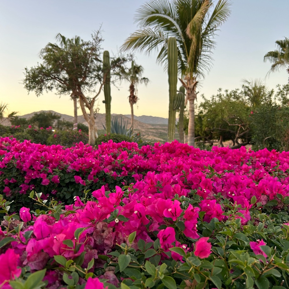 Meet your Posher, Aimee